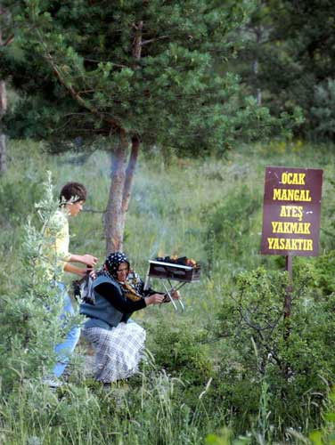 Bu karelere çok şaşıracaksınız! - Resim: 2