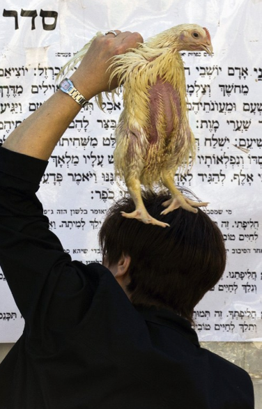 Bütün günahı tavuklar çekiyor - Resim: 2