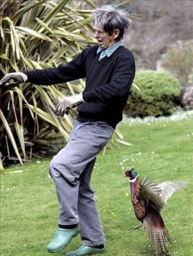 Hayvanların insanlara saldırdığı anlar - Resim: 2