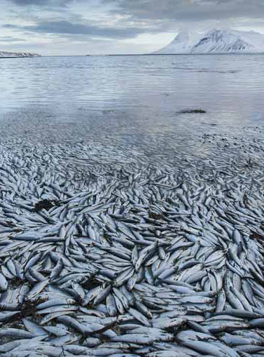 Dünyayı korkutan manzara - Resim: 4