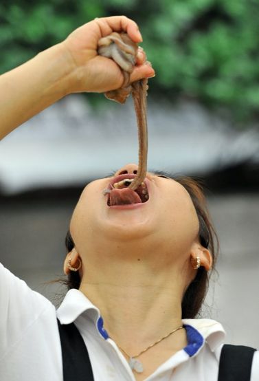 Canlı canlı ahtapotları yediler - Resim: 1