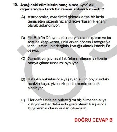 YGS 2014 Türkçe soruları ve cevapları YGS soru ve cevapları ÖSYM - Resim: 3