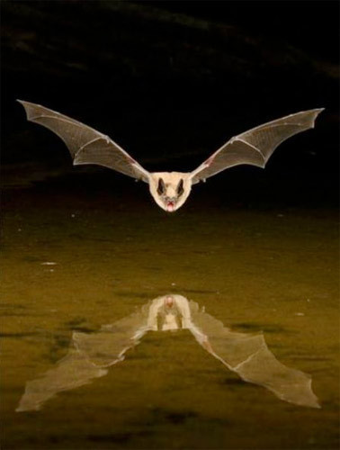 İnsan ruhunu okşayan doğal güzellikler! - Resim: 1