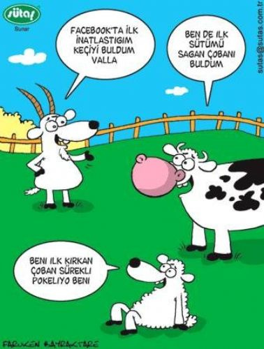 Facebook karikatürleri  - Resim: 2