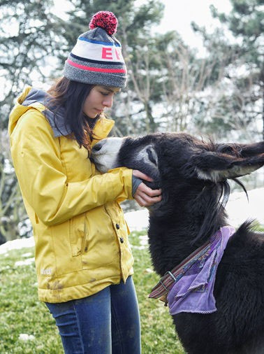 Özge Özpirinçci 2 kediden sonra eşek sahiplendi - Resim: 4