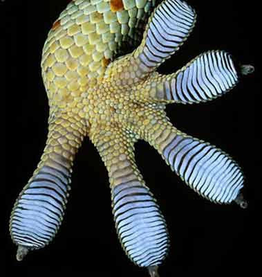 Yakından bak şaşır! - Resim: 3