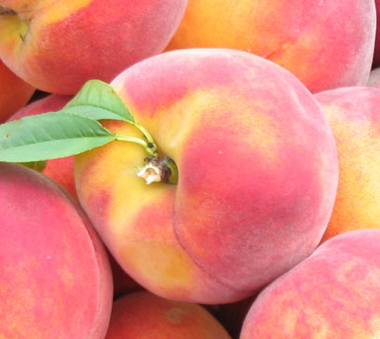 Bu meyveler 'ilaç' gibi  - Resim: 4