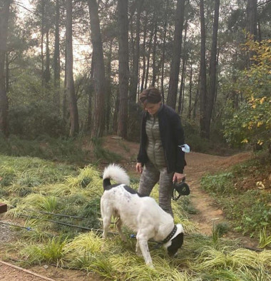 Tacizci Umut Karagöz CHP'den ihraç edilmiş! - Resim: 0