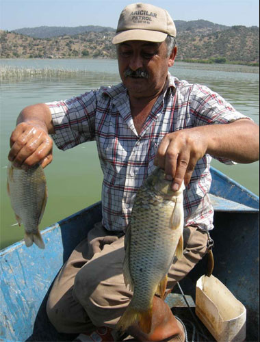Azap gölünde canlılar ölüyor - Resim: 3