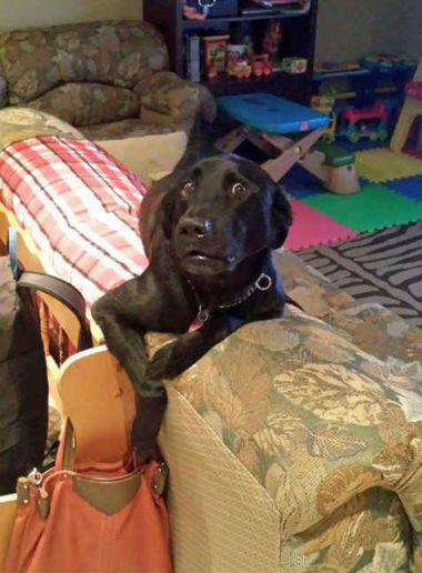 Günün en çılgın 50 fotoğrafı - Resim: 2