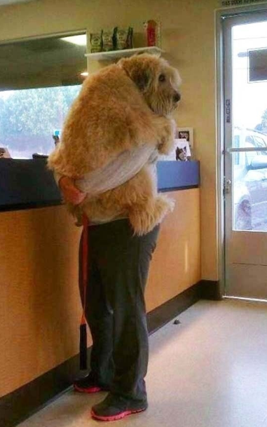 Gülümsemek için 30 sebep - Resim: 2