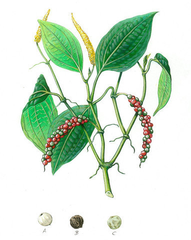 Cinsel isteği tamamen kamçılıyor - Resim: 3