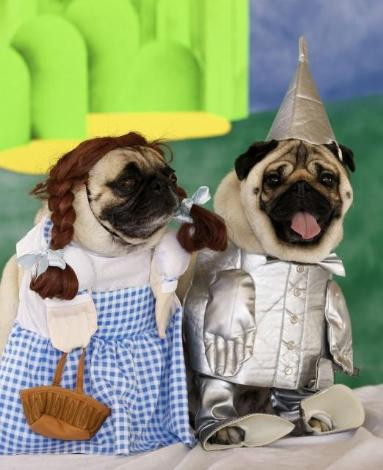 Böyle rezalet görülmedi! - Resim: 1