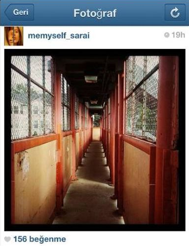 Sierra'nın fotoğrafları satışa çıktı - Resim: 2