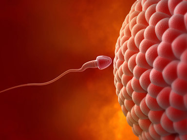 Bu yiyecekler sperm düşmanı! - Resim: 3