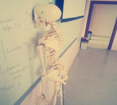 LYS'den önce capsleri geldi stresi en iyi anlatan kareler! - Resim: 4