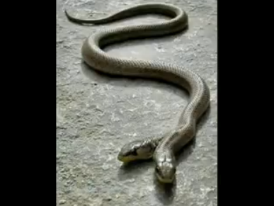 Dünyanın en iyi fotoğrafları - Resim: 1