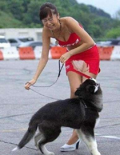 En çok güldüren 100 fotoğraf - Resim: 1