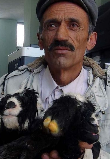 Van'da inanılmaz olay! - Resim: 2