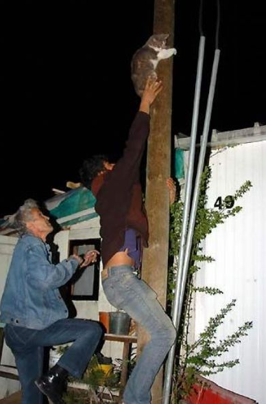 Birbirinden ilginç kareler  - Resim: 2