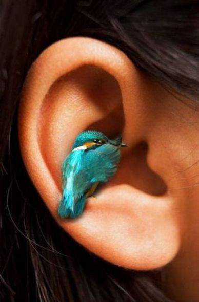 Görenleri şaşırtan pozisyonlar! - Resim: 3