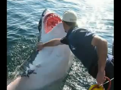 Dünyanın en iyi fotoğrafları - Resim: 3