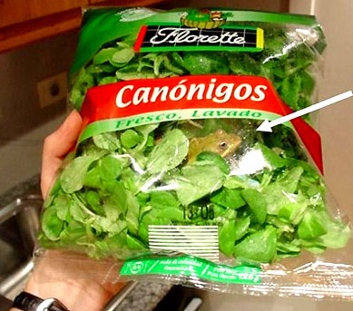 Tüm zamanların en komik anları - Resim: 4