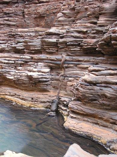 Avustralya'nın sıradışı özellikleri - Resim: 3