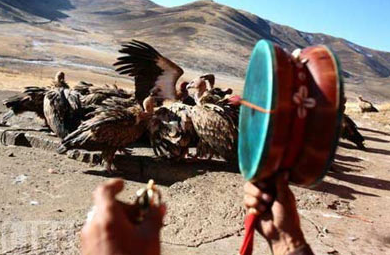 Cesetleri parçalayıp akbabalara yedirdiler - Resim: 1