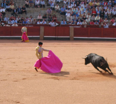Dünyada en çok konuşulan 10 dil - Resim: 4