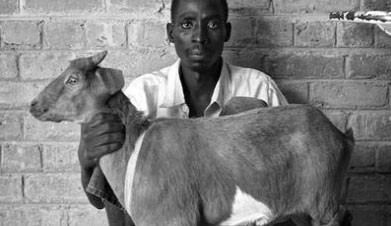 Bu şartlarda yaşamak çok zor! - Resim: 3