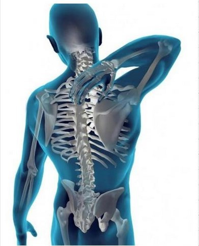 Hangi organ ne kadar sürede yaşlanır? - Resim: 1