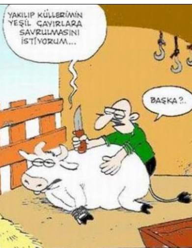 Günün en bomba karikatürleri - Resim: 3
