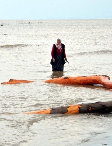 Sel suları iş makinesini böyle sürükledi - Resim: 2