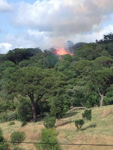 İstanbul'da korkutan yangın - Resim: 1
