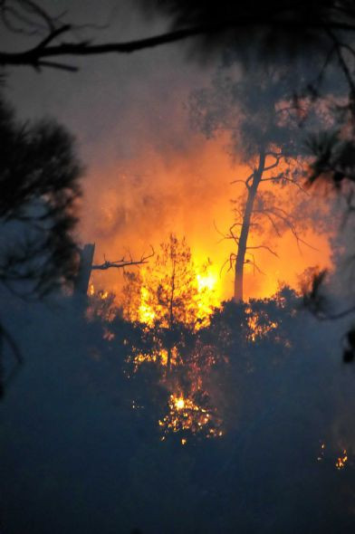 Bodrum alev alev yanıyor! - Resim: 1
