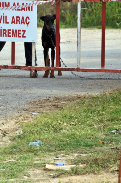 Üniversite'de ikinci şok! - Resim: 1