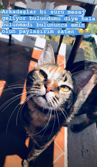 Gizem Karaca herkesten yardım istemişti! Acı haberi sosyal medyadan duyurdu - Resim: 3