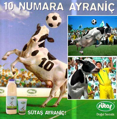 2006 yılının en saçma haberleri - Resim: 4