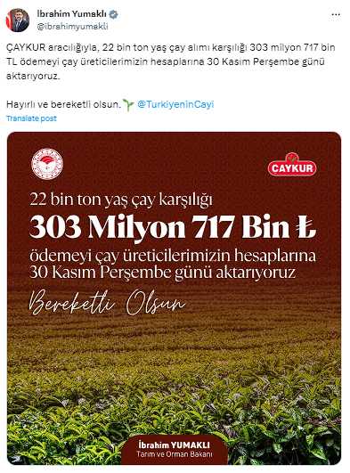 Çay üreticilerine 303 milyon 717 bin liralık destek ödemesiyle ilgili açıklama - Resim: 0
