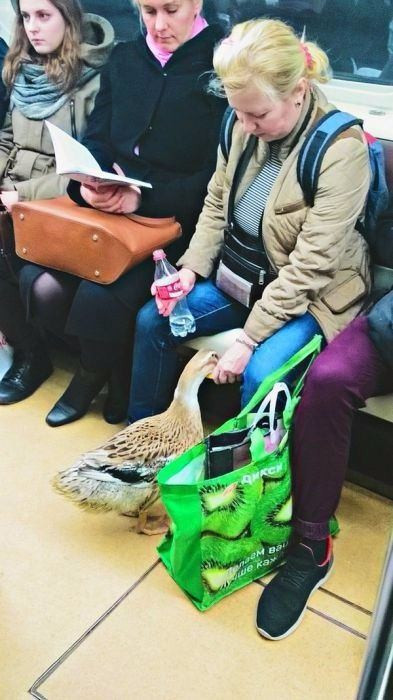 Metroda karşısında çıkan şeyle şoke oldu sosyal medya yıkıldı! - Resim: 4