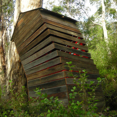 Yer çekimine meydan okuyor - Resim: 2