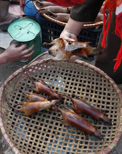 Fareleri afiyetle yiyorlar - Resim: 4