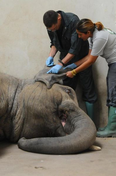 Türkiye'de bir ilk yaşandı! - Resim: 2