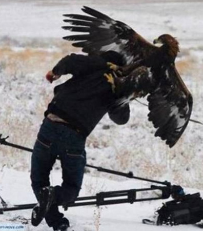 İşte hayvanların saldırdığı o anlar - Resim: 3