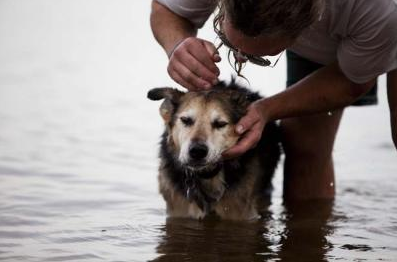 Ölümünü Facebook'tan duyurdu - Resim: 4