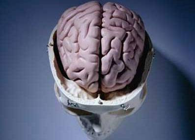 İnsan bedeniyle ilgili gerçekler - Resim: 4