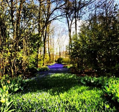 Abdulah Gül o anları Instagram'da paylaştı! - Resim: 3