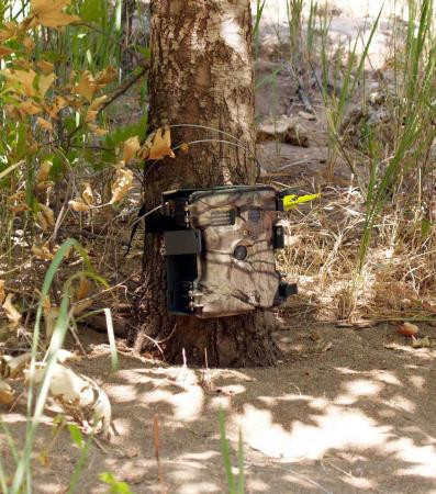 13 yıl sonra ilk kez görüntülendi - Resim: 3