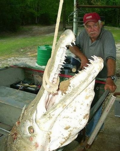 İnternetin en çok güldüren kareleri - Resim: 4